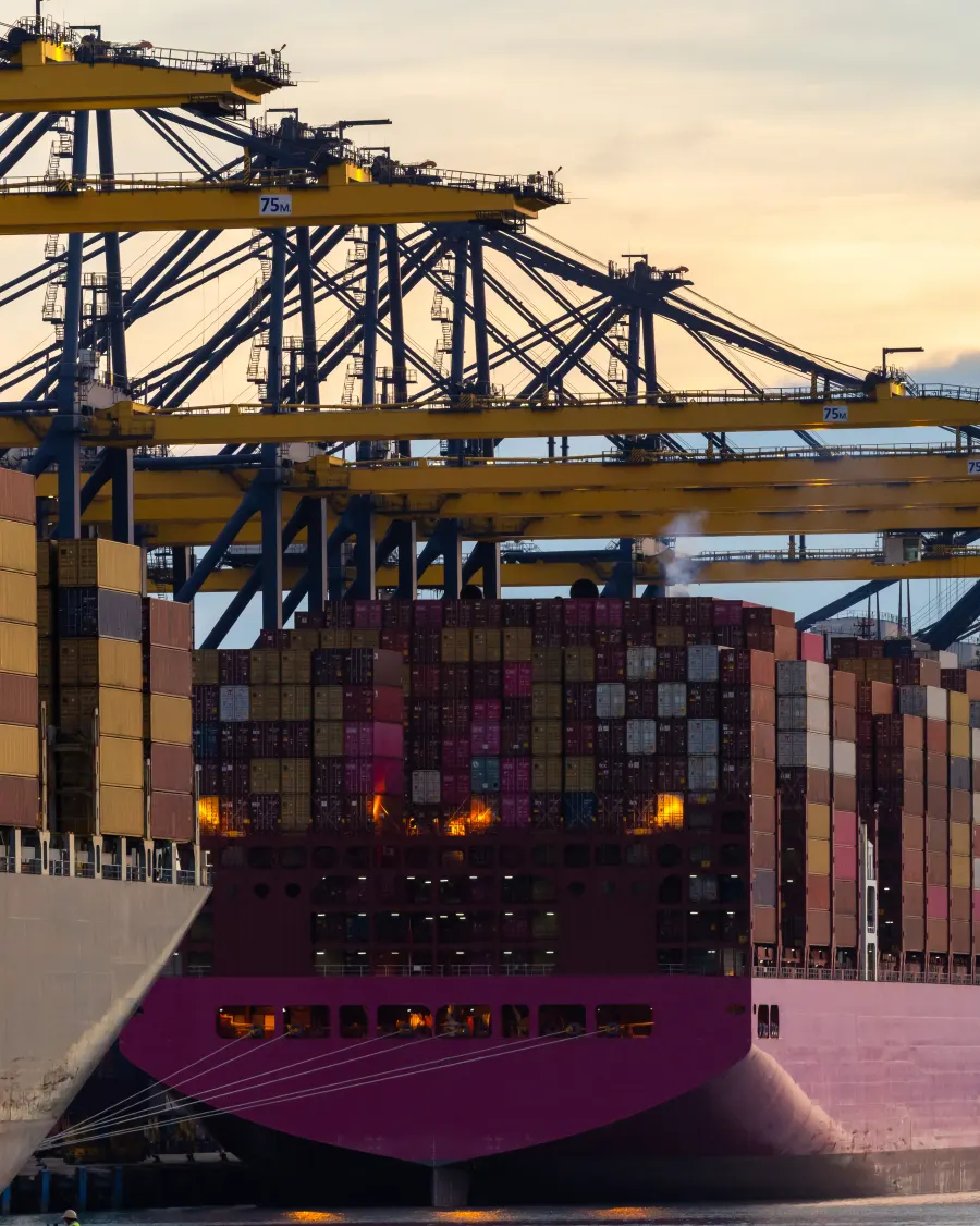 Container ships berthed under gantry cranes at dusk